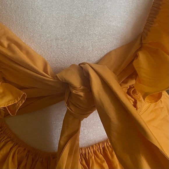 SHOWPO Raiza Ruffle Sleeve Tie Back Plunge Mini Dress - Picture 11 of 13